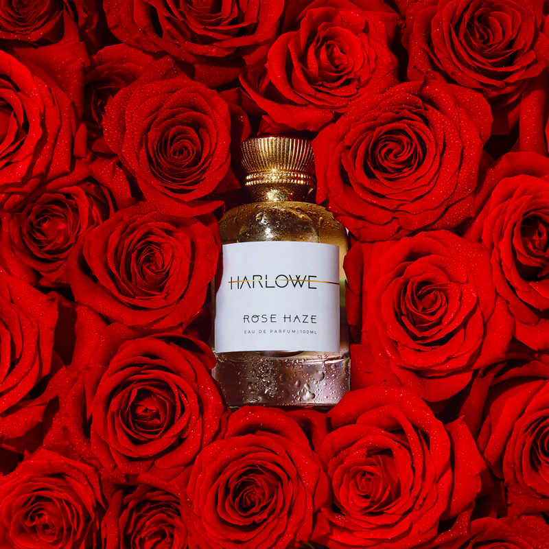 Rose Haze